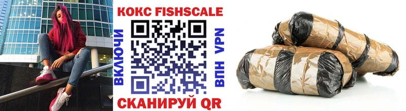 КОКАИН Fish Scale что такое Реутов