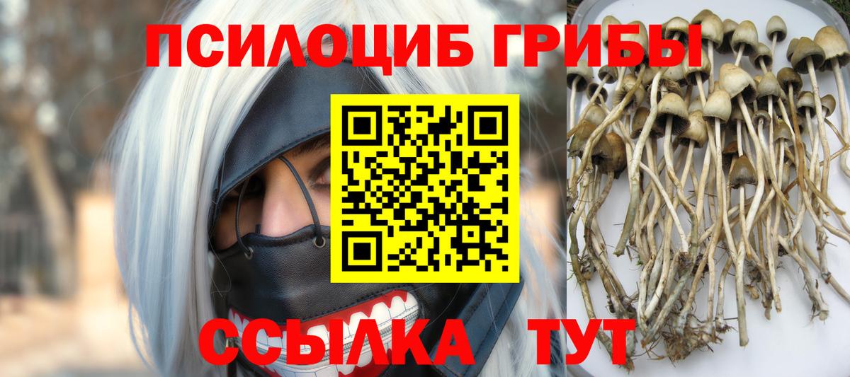 Псилоцибиновые грибы Psilocybine cubensis  Псилоцибиновые грибы GOLDEN TEACHER  Вход с VPN  купить наркотики сайты  Реутов 